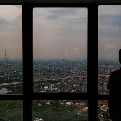 View from a window overlooking a serene natural landscape.